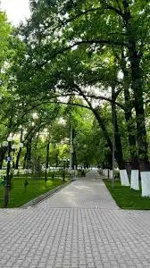 A tree-lined alley with a footpath in a park